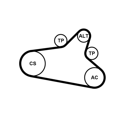 Kit Cinghie Poly-V - 6PK1020 EXTRA K1 CONTINENTAL CTAM